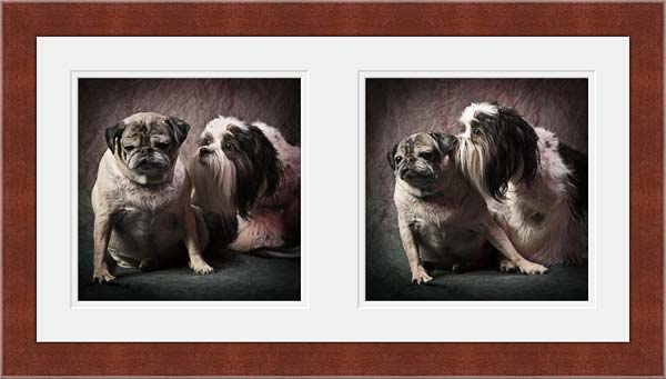 Maddy & Oscar Dog Portrait Diptych